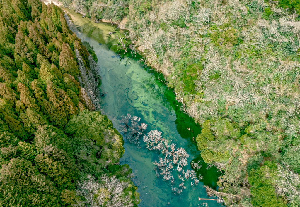 摩耶山 高尾山砂防ダム